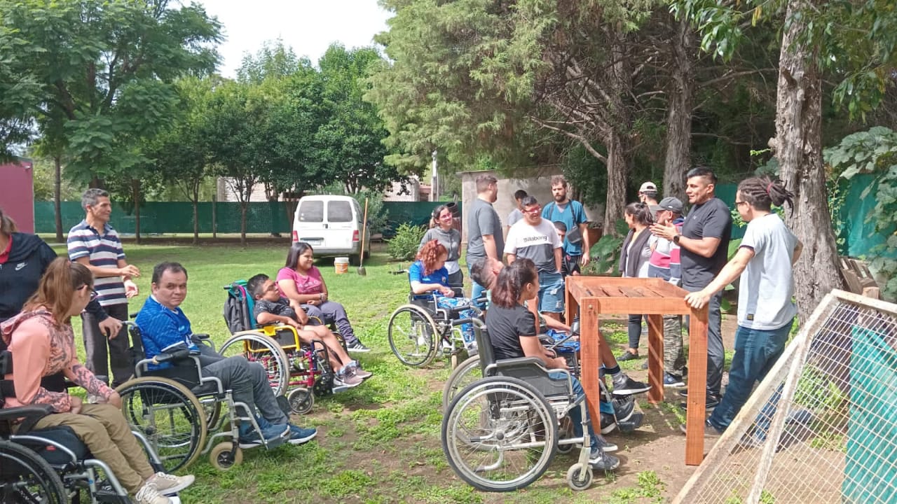 Imagen 5